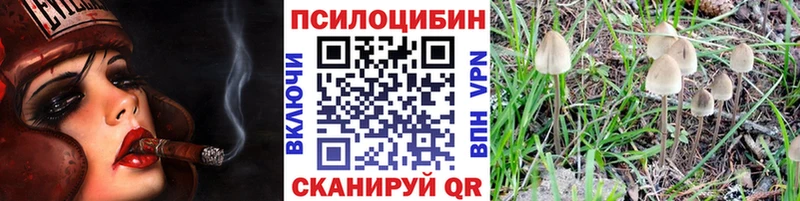 Псилоцибиновые грибы мухоморы  Купить закладки  Таштагол 